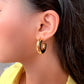 Chubby earrings (L,M,S ) Earring sets