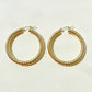 Shiny Earrings RFB15255