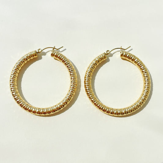 Shiny Earrings RFB15255