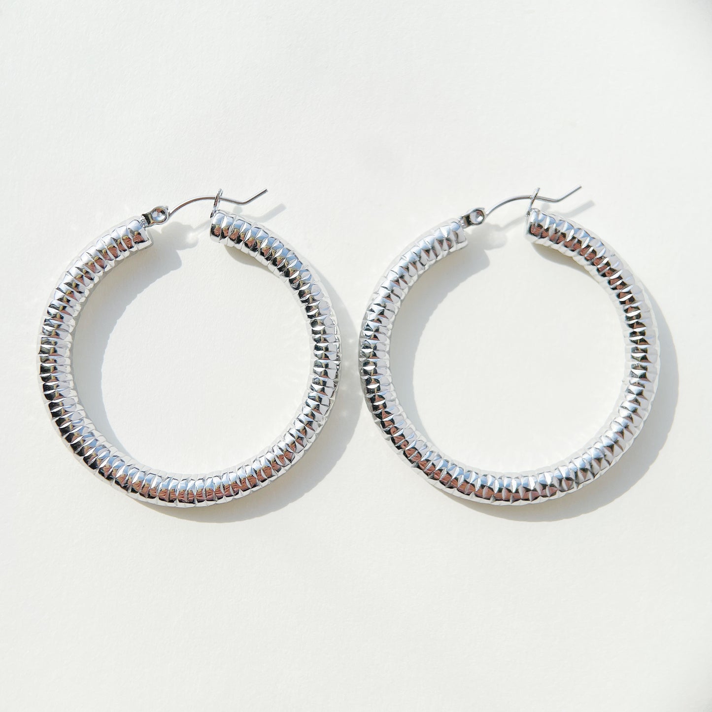 Shiny Earrings RFB15255