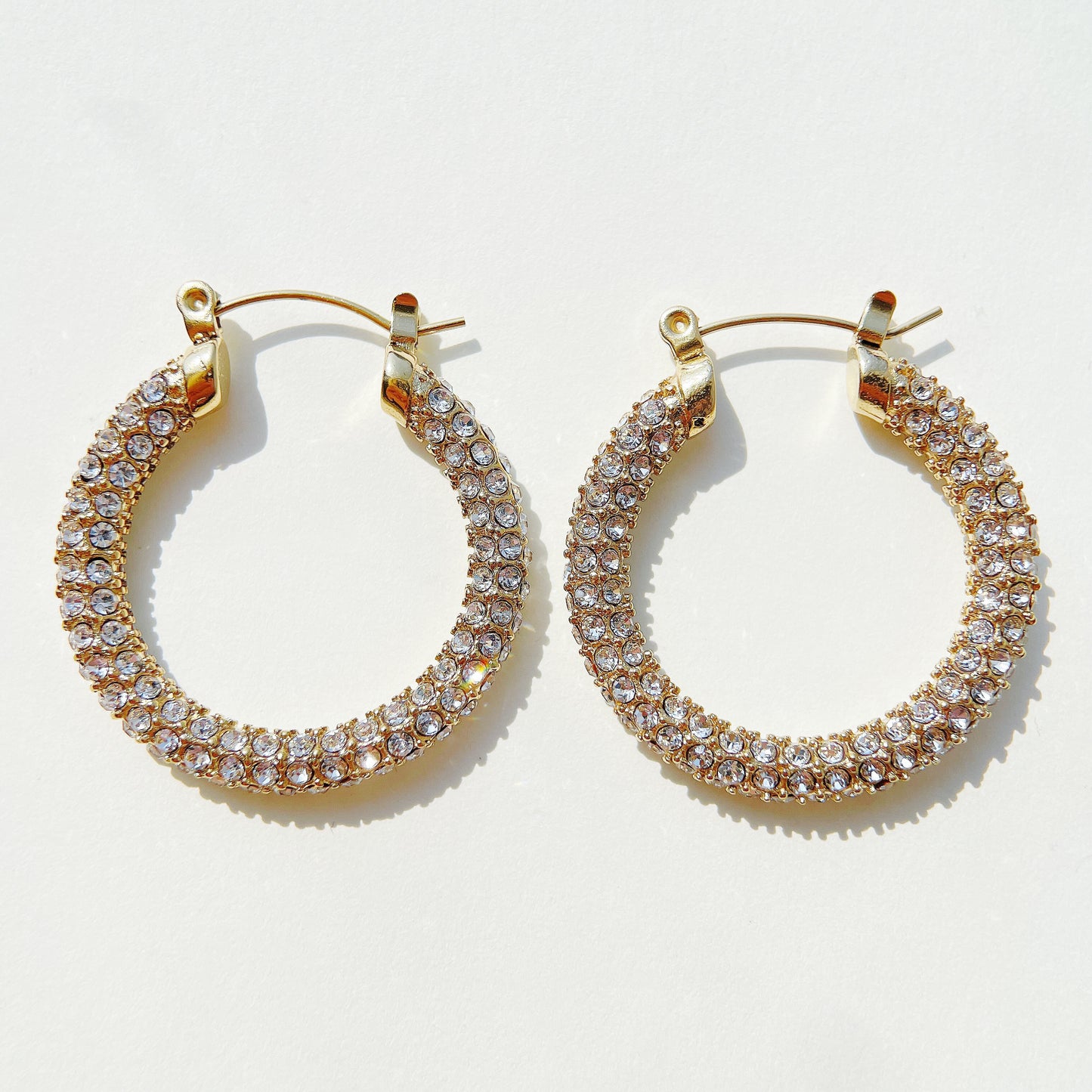 Shiny Earrings 14727